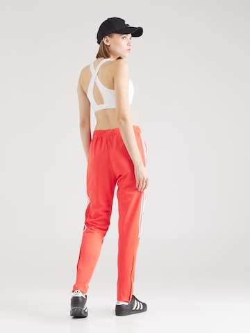 ADIDAS SPORTSWEAR Slimfit Športne hlače | oranžna barva