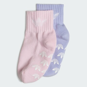 Chaussettes ADIDAS ORIGINALS en violet : devant