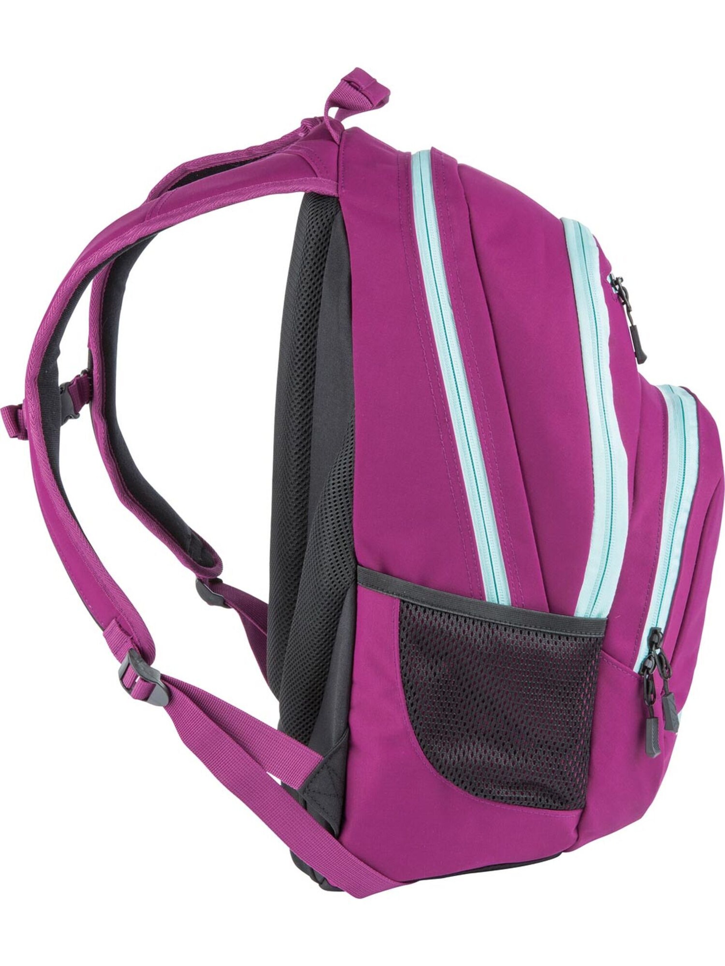 NitroBags Rucksack STASH 29 in Pink