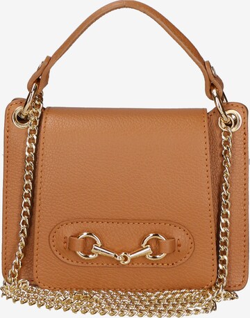 Gave Lux Handbag in Brown: front