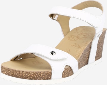 PANAMA JACK Sandals 'Julia' in White: front