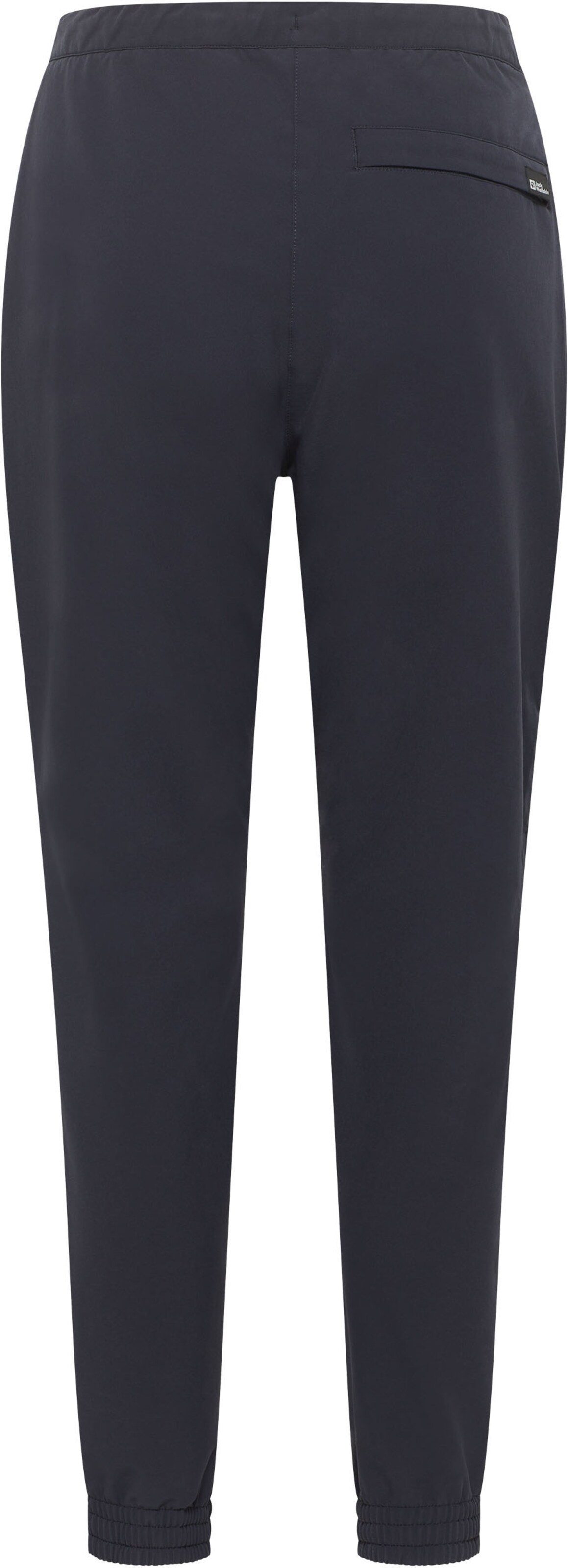 JACK WOLFSKIN Regular Outdoor Pants in Blue