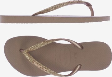 HAVAIANAS Sandals & High-Heeled Sandals in 37 in Gold: front