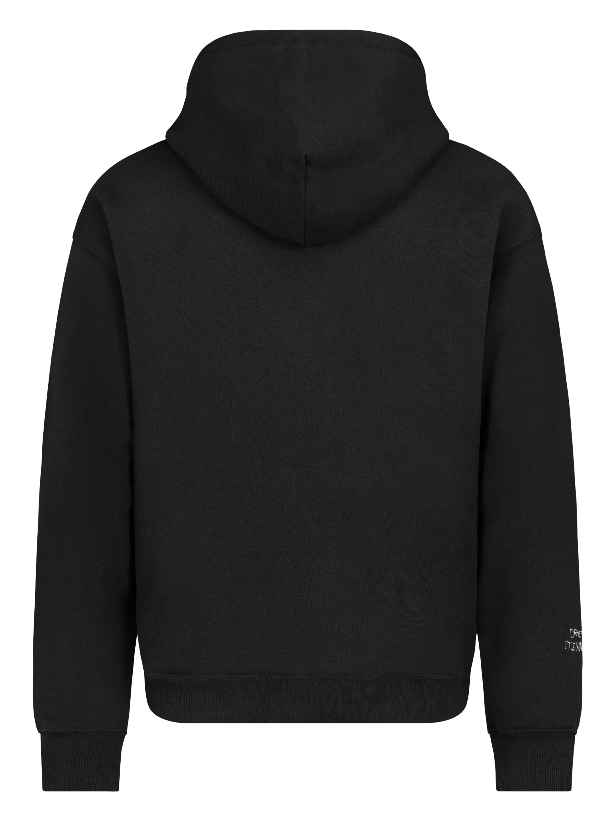 Sublevel Sweatshirt in Grau