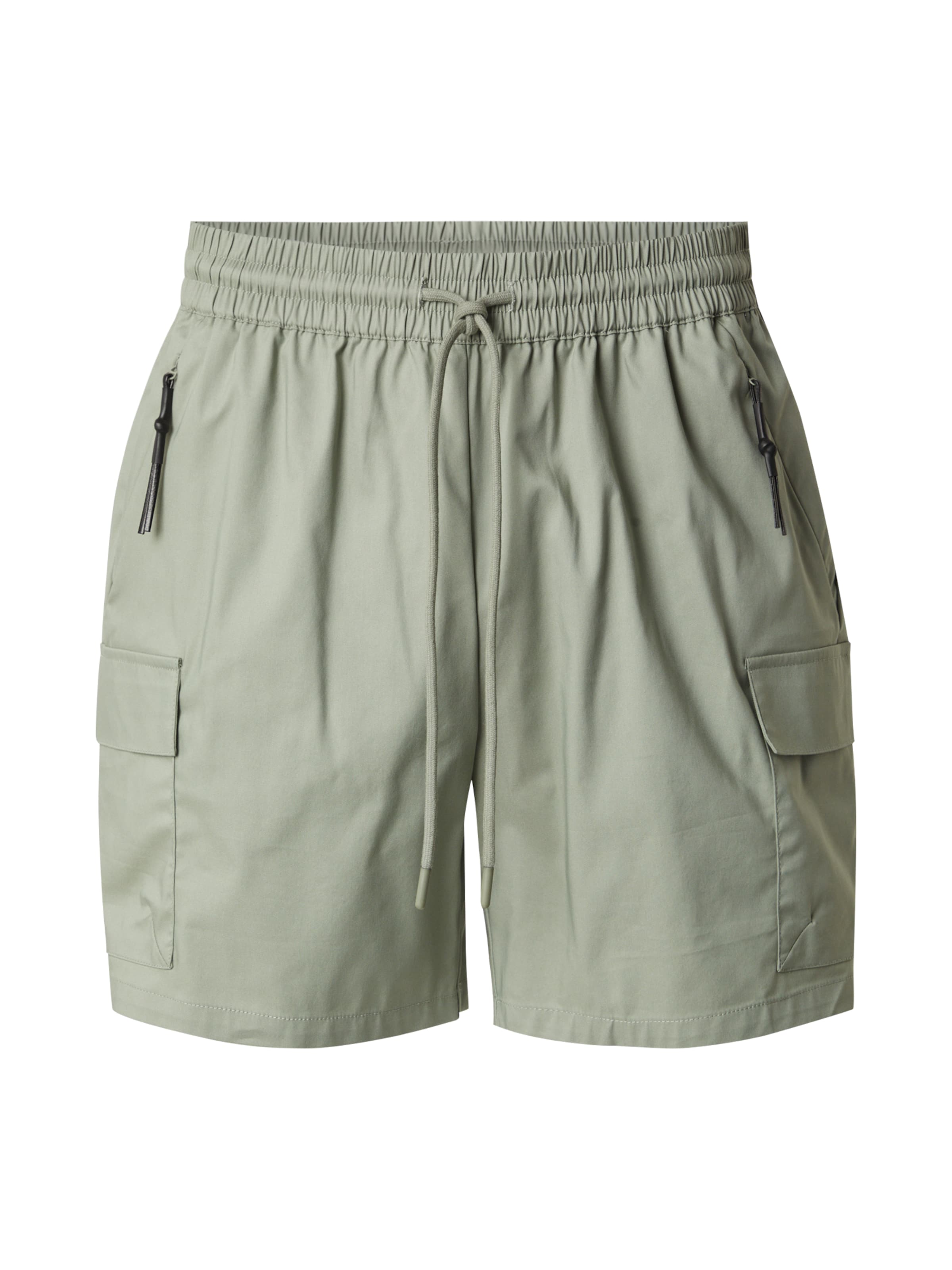 DAN FOX APPAREL Cargo Pants 'Marten' in Green: front