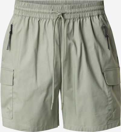 DAN FOX APPAREL Cargo hlače 'Marten' u pastelno zelena, Pregled proizvoda