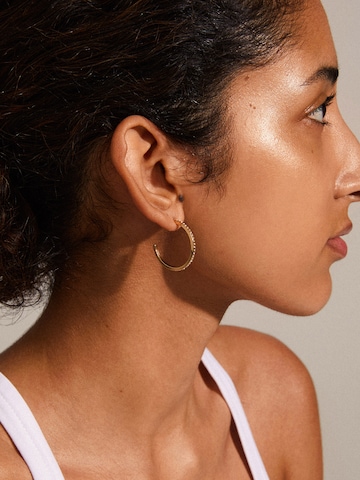 Pilgrim Earrings 'Roberta' in Gold