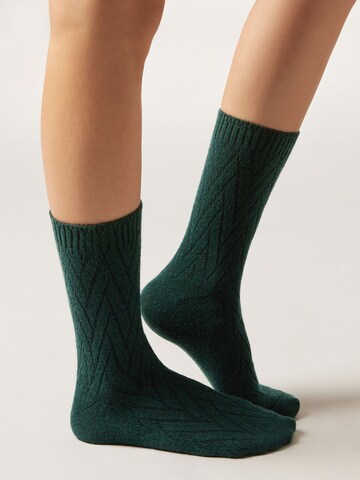 CALZEDONIA Socken in Grün