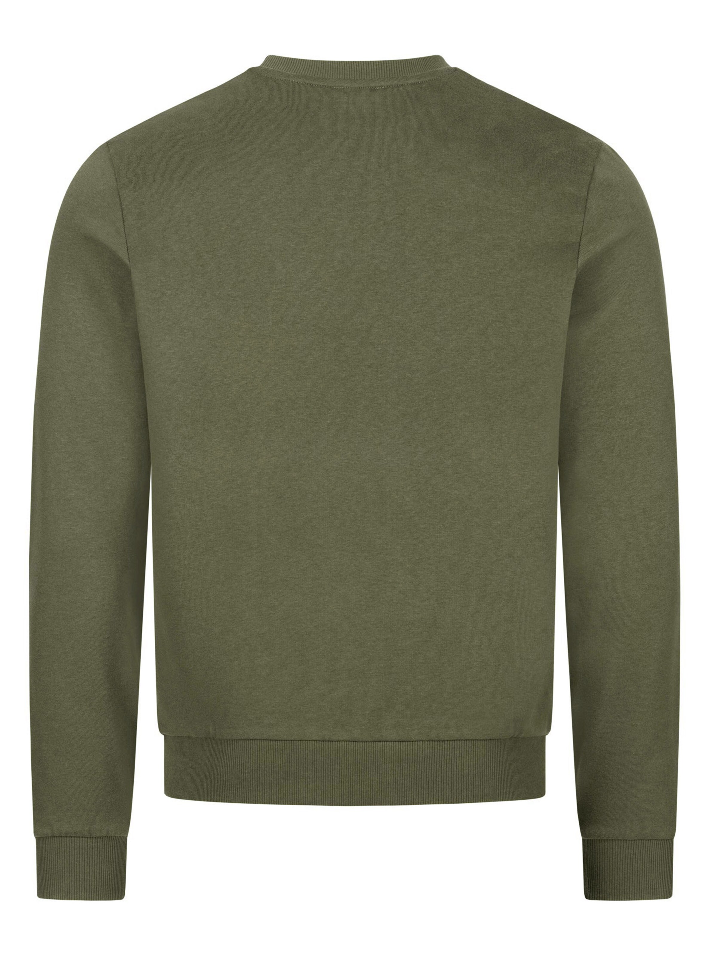 U.S. POLO ASSN. Sweatshirt in Green