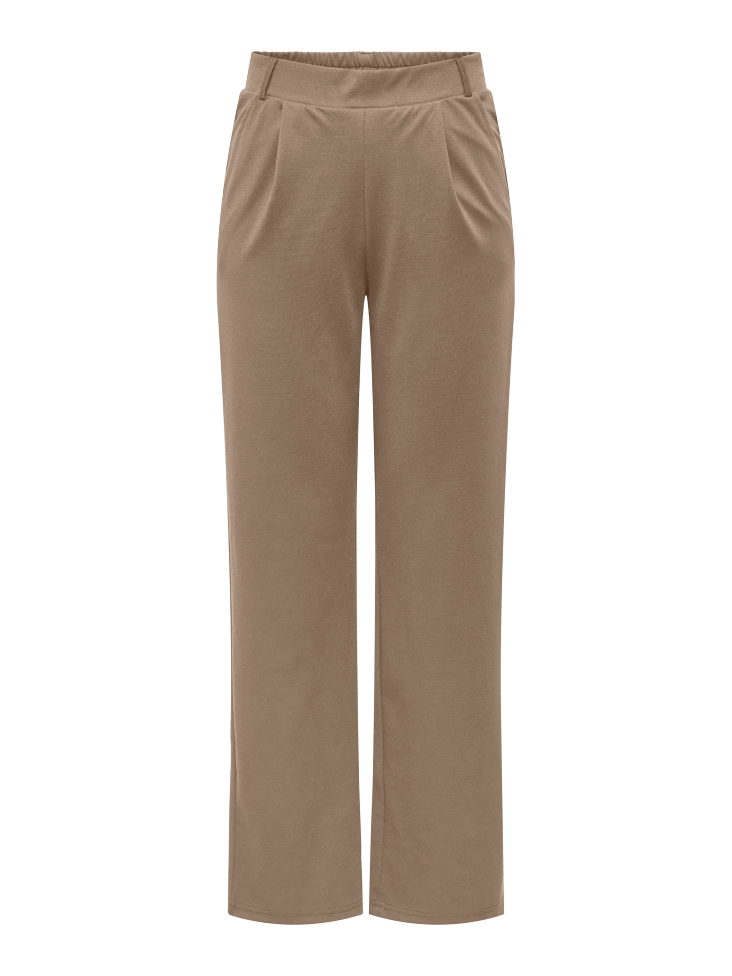 ONLY Pleat-front trousers 'ONLCORINNE' in Brown: front