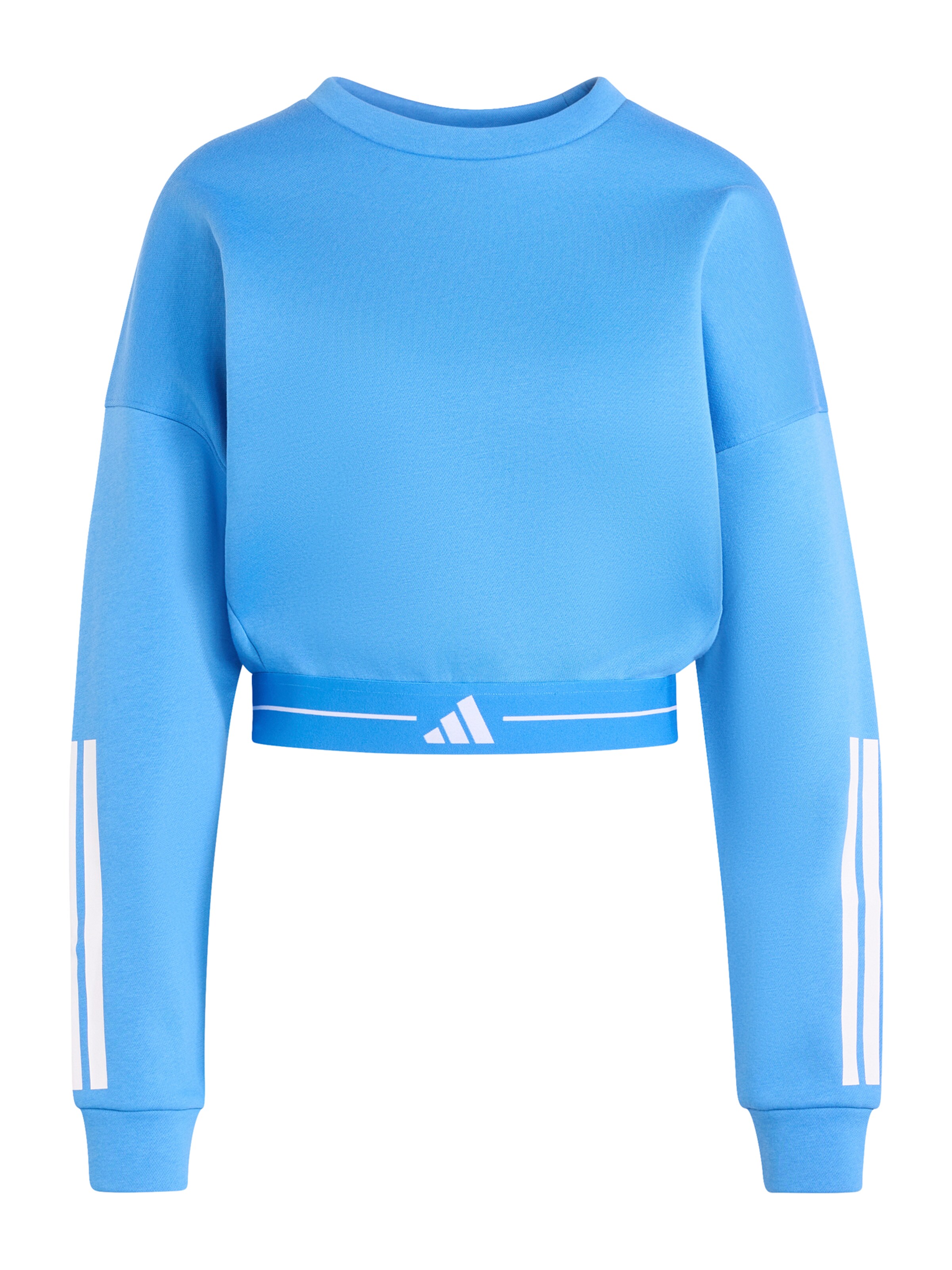 zils ADIDAS PERFORMANCE Sportiska tipa džemperis 'HYG': no priekšpuses