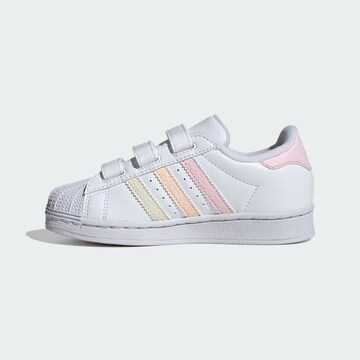 ADIDAS ORIGINALS Sneaker ' Superstar' in Weiß