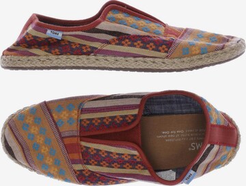 TOMS Halbschuh 37 in Mischfarben: predná strana