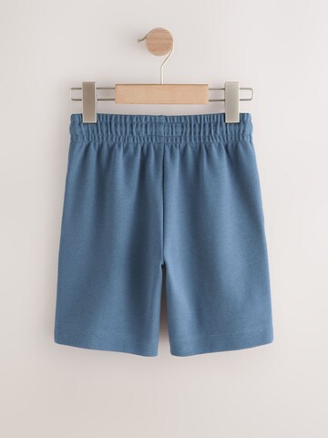 Next Regular Pants in Blue