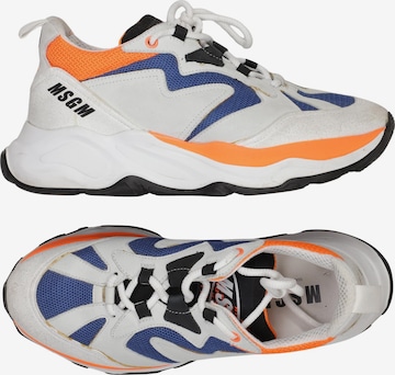 MSGM Sneaker 40 in Mischfarben: Vorderseite
