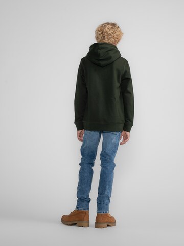 Petrol Industries Sweatshirt 'White Mountain' in Grün