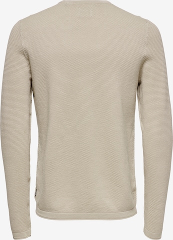 Only & Sons Regular Fit Pullover 'Panter' i beige