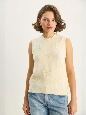 Bianco Lucci Sweater in Beige