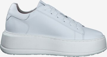 Baskets basses TAMARIS en blanc