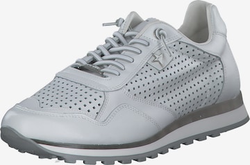 Cetti Sneakers 'C848 S M' in Grey: front