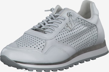 Baskets basses 'C848 S M' Cetti en gris : devant