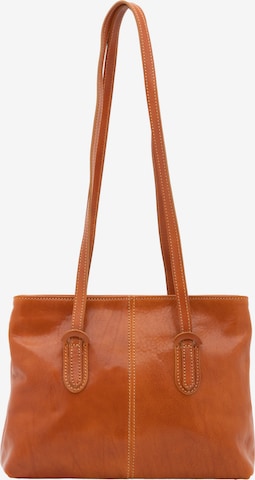 Viola Castellani Shoulder Bag in Brown: front
