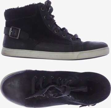 TIMBERLAND Sneakers & Trainers in 40 in Black: front