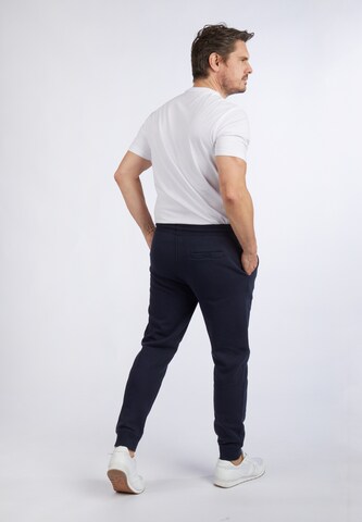 HECHTER PARIS Tapered Pants in Blue