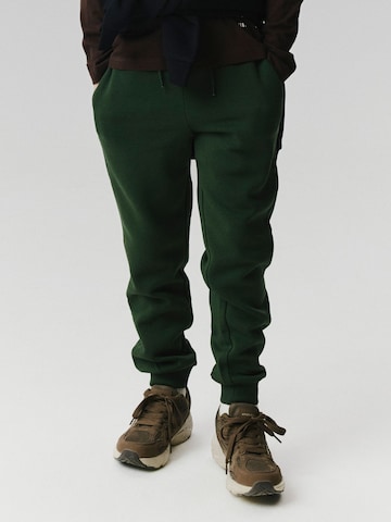 NAME IT Regular Pants in Green