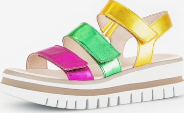 GABOR Sandals in Mixed colors: front