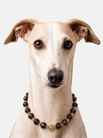 Unleash Cph Halsband in Bruin