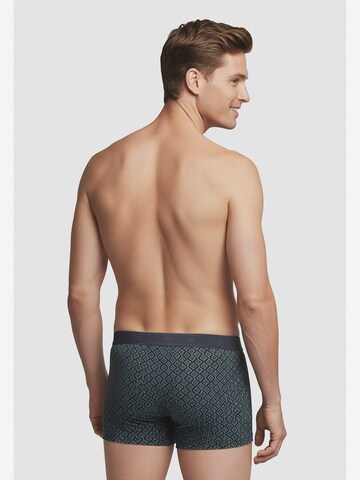 Boxers IMPETUS en bleu