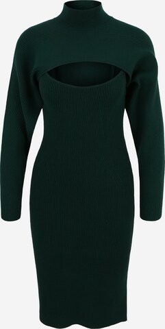 Banana Republic Petite Knitted dress 'SERENE' in Green: front