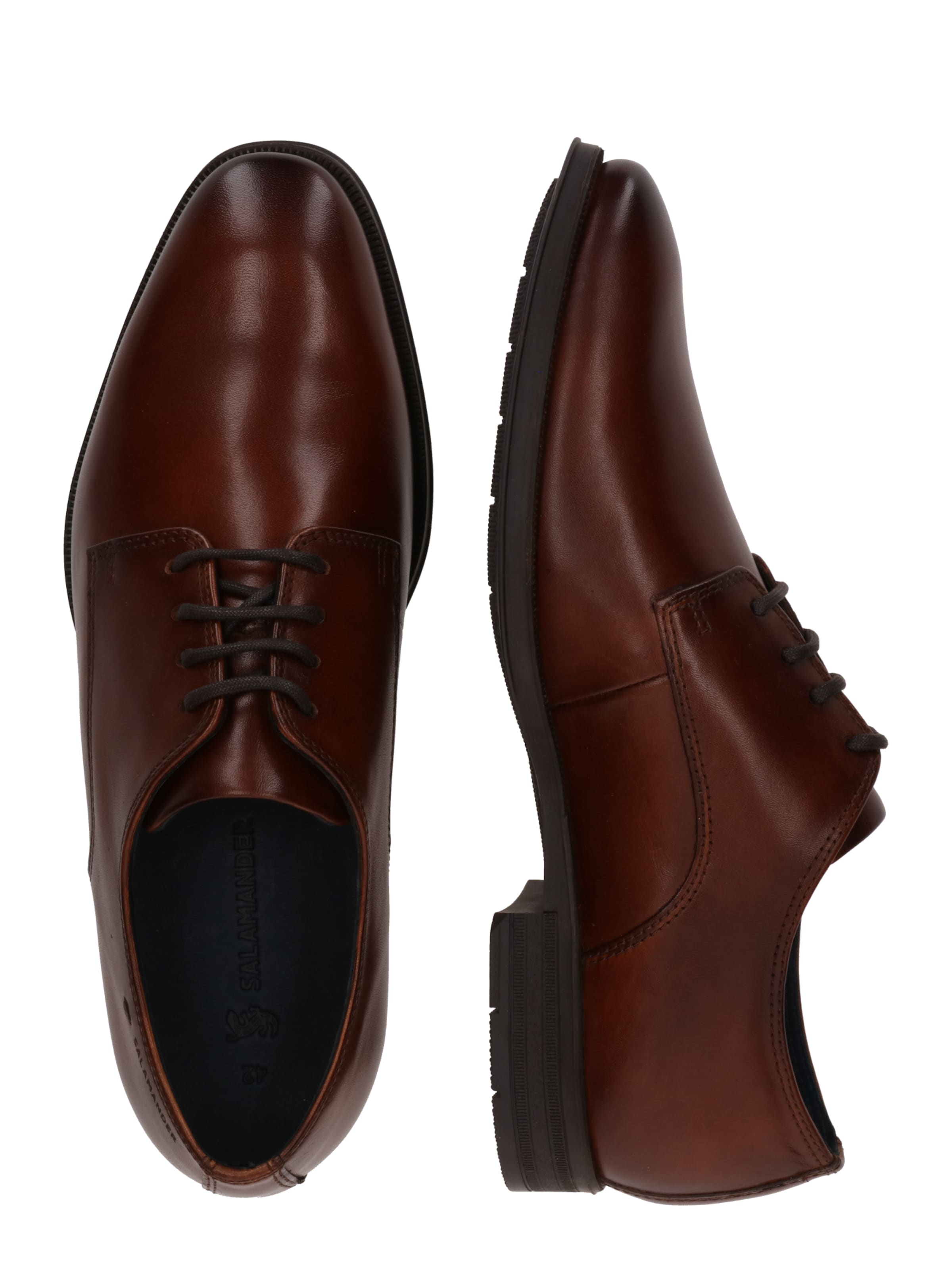 SALAMANDER Обувь на шнуровке 'AUU' в Коричневый