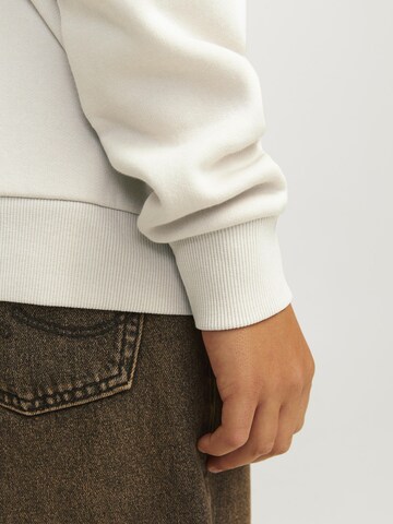 Jack & Jones Junior Sweatshirt 'Luke' in Beige