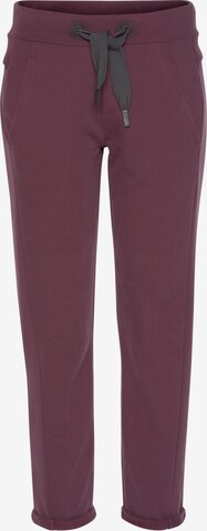 Elbsand Pants in Purple: front