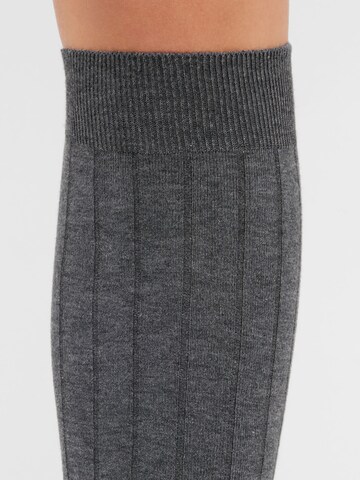 CALZEDONIA Kniestrümpfe in Grau