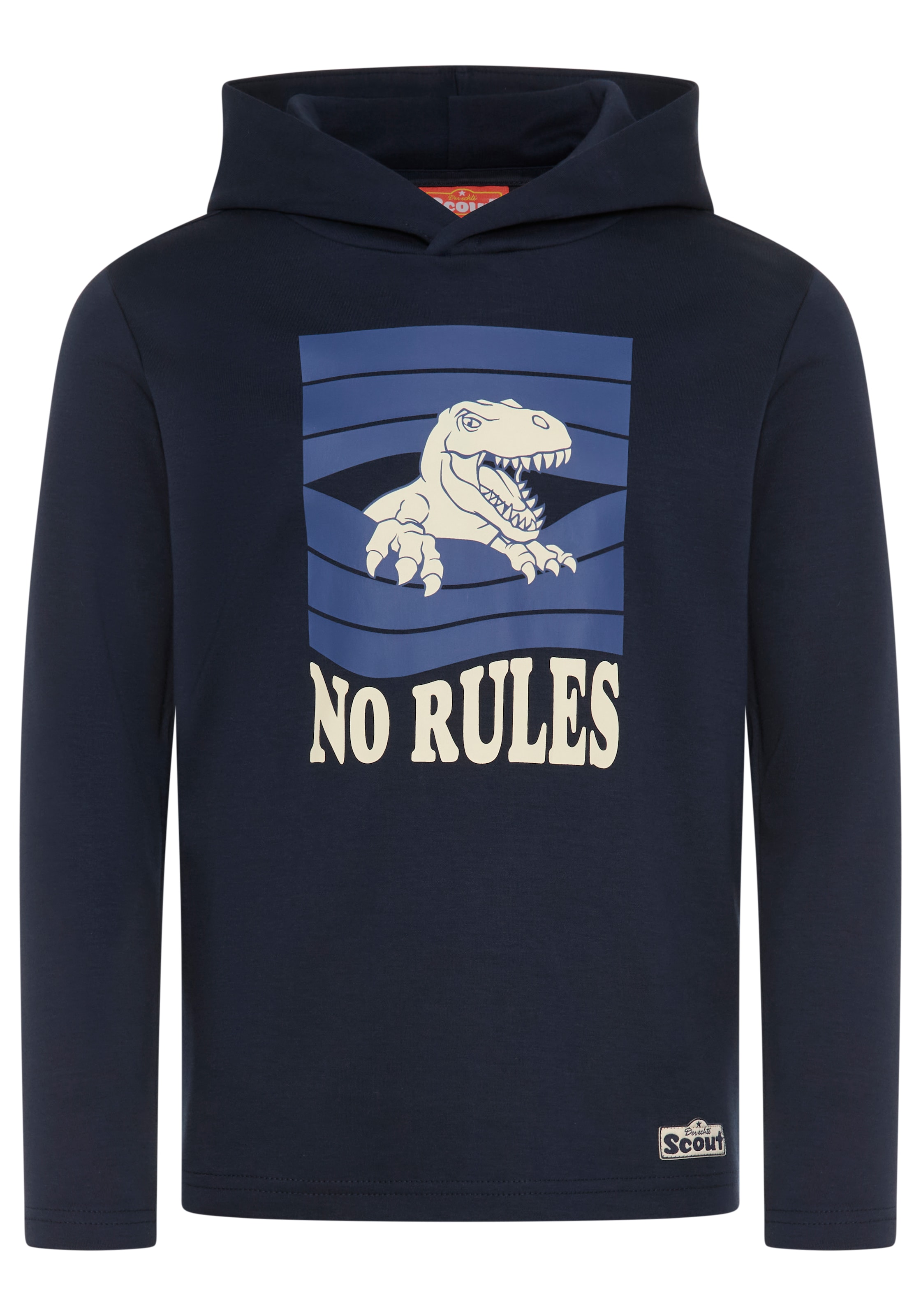 SCOUT Sweatshirt in Blue: front