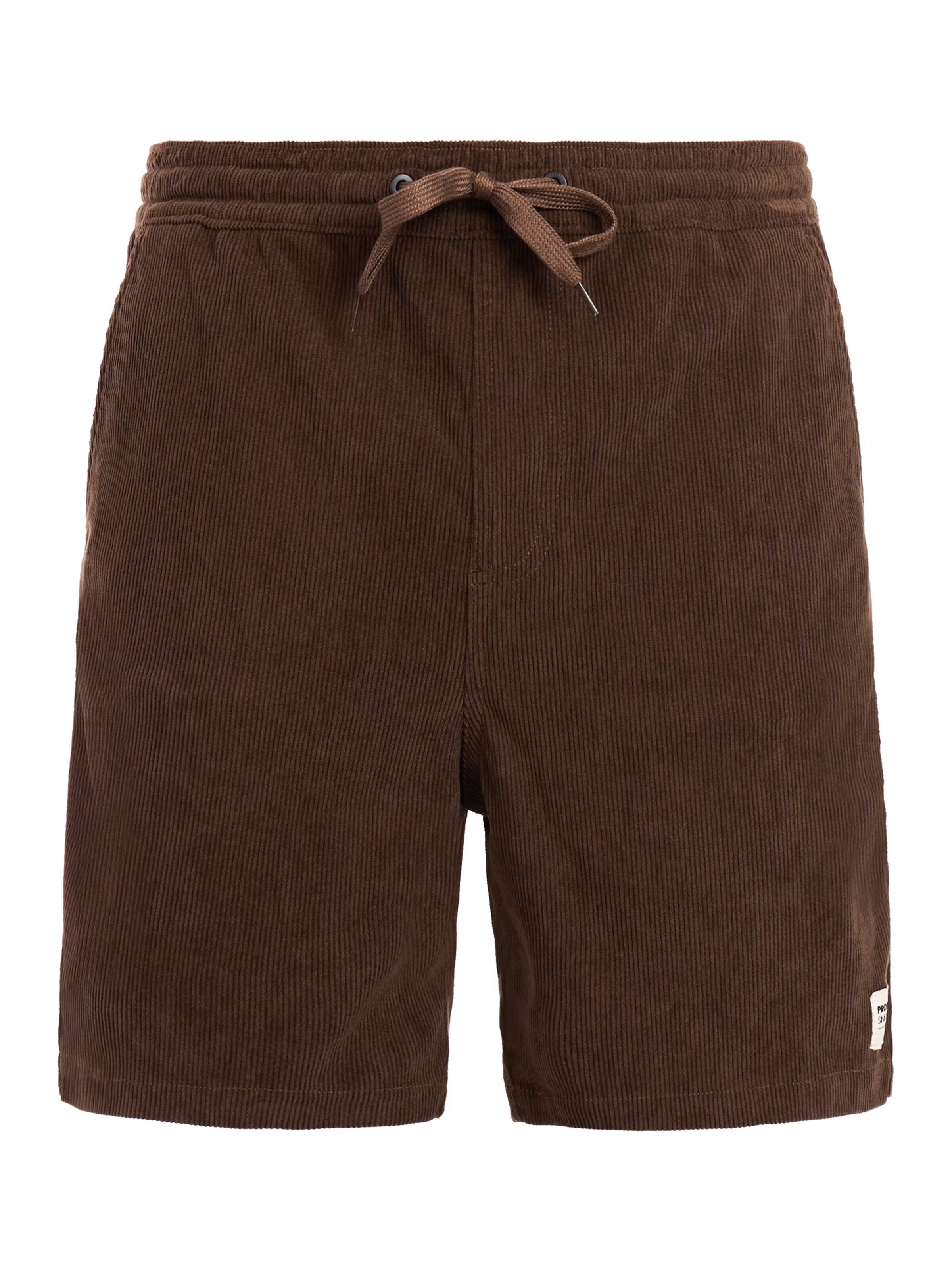 PROTEST Regular Pants in Brown: front