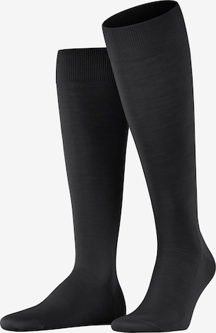 FALKE Knee High Socks 'ClimaWool' in Black: front