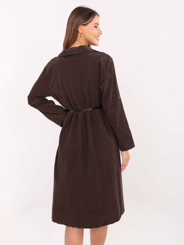 Madnezz House Kleid in Braun