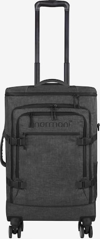 Valisette 'Namie' normani en gris : devant