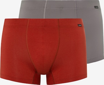 Boxers Hanro en gris : devant