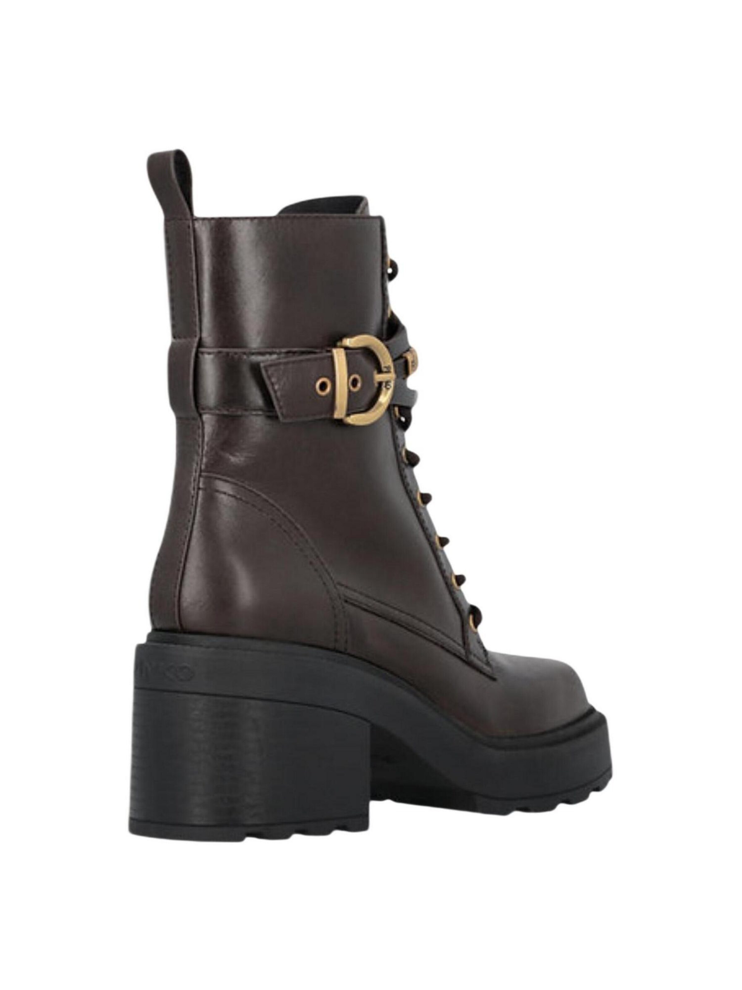 PINKO Boots 'ALTEA' in Bruin