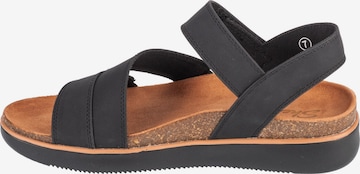 SKECHERS Σανδάλι 'Skechers Lifted Comfort' σε μαύρο: μπροστά