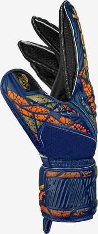 REUSCH Athletic Gloves 'ATTRAKT SILVER JUNIOR' in Blue