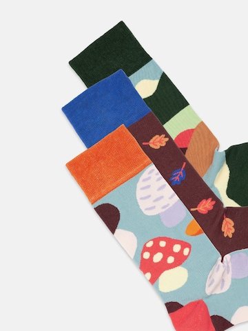 Chaussettes 'Fall Wonders' DillySocks en mélange de couleurs
