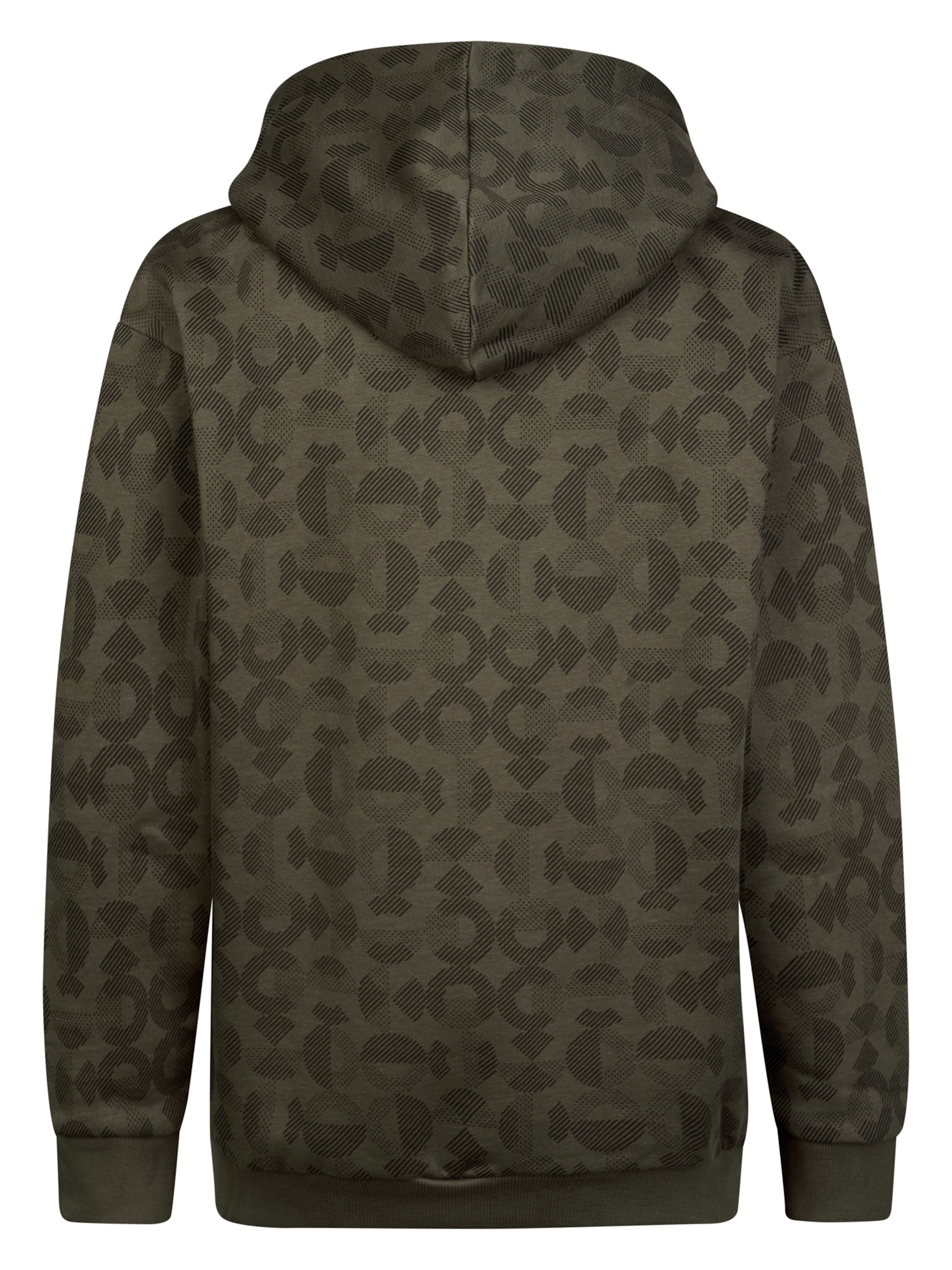 Petrol Industries Sweatshirt 'Forgeplace' in Green