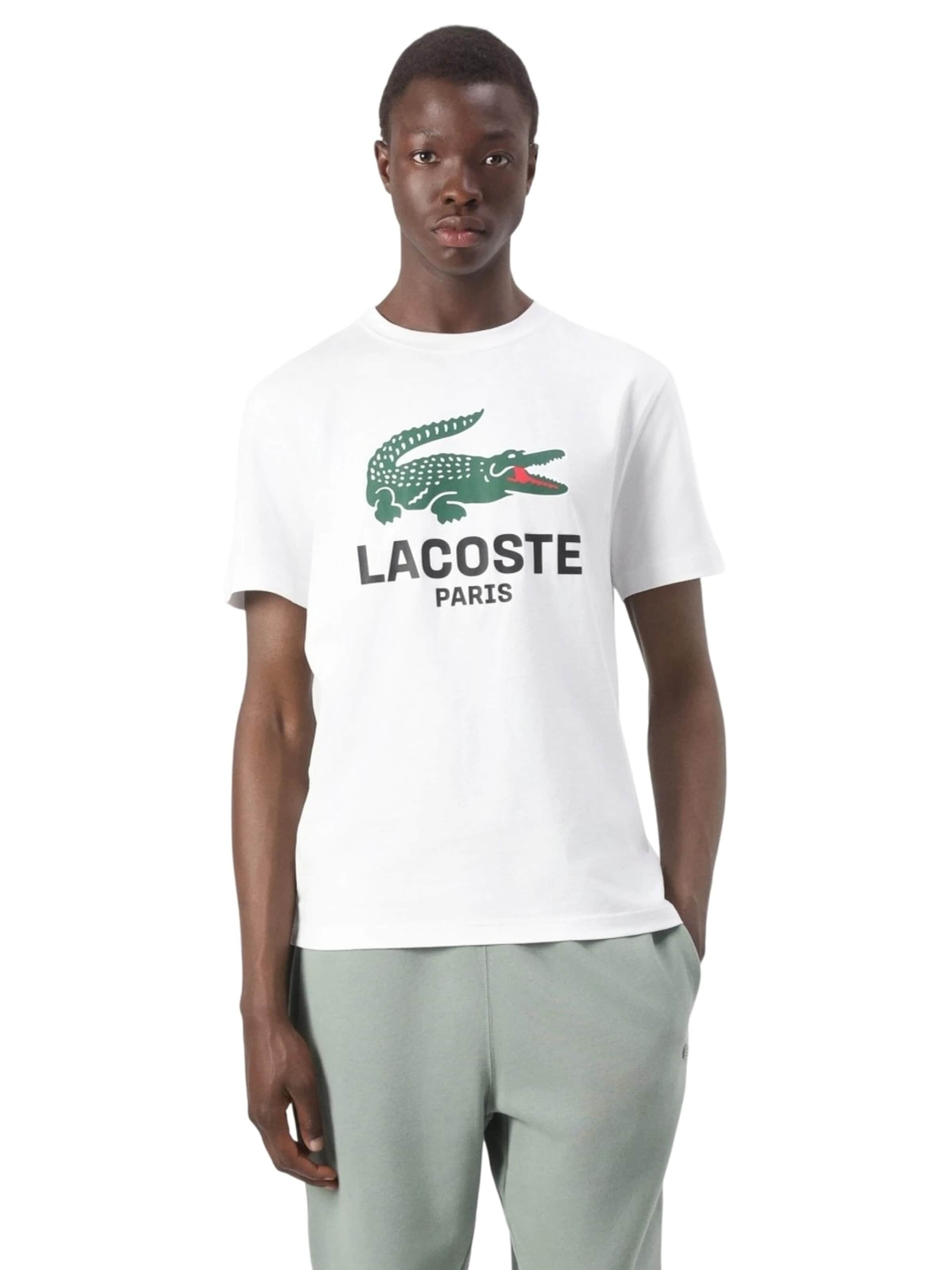 T-Shirt LACOSTE en blanc : devant