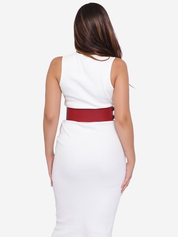 Haute Cuir Riem 'Patrician Wide Belt' in Rood
